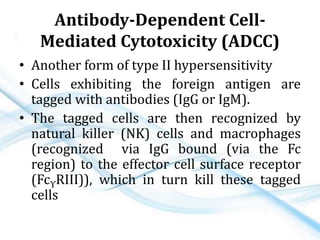 Antibody-Dependent Cell-
Mediated Cytotoxicity (ADCC)
• Another form of type II hypersensitivity
• Cells exhibiting the foreign antigen are
tagged with antibodies (IgG or IgM).
• The tagged cells are then recognized by
natural killer (NK) cells and macrophages
(recognized via IgG bound (via the Fc
region) to the effector cell surface receptor
(FcΥRIII)), which in turn kill these tagged
cells
 