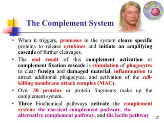 The Complement System
• When it triggers, proteases in the system cleave specific
proteins to release cytokines and initiate an amplifying
cascade of further cleavages.
• The end result of this complement activation or
complement fixation cascade is stimulation of phagocytes
to clear foreign and damaged material, inflammation to
attract additional phagocytes, and activation of the cell-
killing membrane attack complex (MAC).
• Over 30 proteins or protein fragments make up the
complement system.
• Three biochemical pathways activate the complement
system: the classical complement pathway, the
alternative complement pathway, and the lectin pathway 17
 