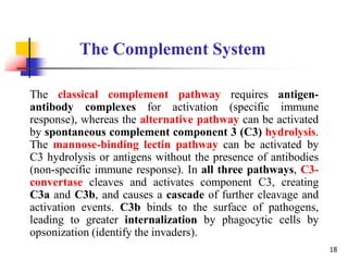 The Complement System
The classical complement pathway requires antigen-
antibody complexes for activation (specific immune
response), whereas the alternative pathway can be activated
by spontaneous complement component 3 (C3) hydrolysis.
The mannose-binding lectin pathway can be activated by
C3 hydrolysis or antigens without the presence of antibodies
(non-specific immune response). In all three pathways, C3-
convertase cleaves and activates component C3, creating
C3a and C3b, and causes a cascade of further cleavage and
activation events. C3b binds to the surface of pathogens,
leading to greater internalization by phagocytic cells by
opsonization (identify the invaders).
18
 
