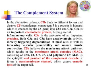 The Complement System
In the alternative pathway, C3b binds to different factors and
cleaves C5 (complement component 5 is a protein in humans
which is encoded by the C5 gene) into C5b and C5a. C5a is
an important chemotactic protein, helping recruit
inflammatory cells. C3a is the precursor of an important
cytokine. Both C3a and C5a have anaphylatoxin activity,
directly triggering degranulation of mast cells as well as
increasing vascular permeability and smooth muscle
contraction. C5b initiates the membrane attack pathway,
which results in the membrane attack complex (MAC),
consisting of C5b, C6, C7, C8, and polymeric C9. MAC is
the cytolytic end product of the complement cascade; it
forms a transmembrane channel, which causes osmotic
lysis of the target cell. 19
 