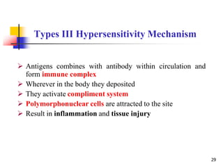 Types III Hypersensitivity Mechanism
29
 Antigens combines with antibody within circulation and
form immune complex
 Wherever in the body they deposited
 They activate compliment system
 Polymorphonuclear cells are attracted to the site
 Result in inflammation and tissue injury
 