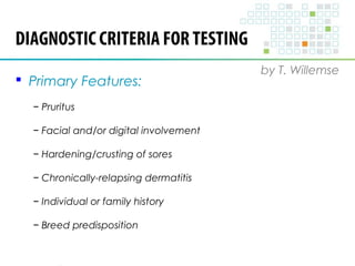 DIAGNOSTIC CRITERIA FOR TESTING 
by T. Willemse 
 Primary Features: 
− Pruritus 
− Facial and/or digital involvement 
− Hardening/crusting of sores 
− Chronically-relapsing dermatitis 
− Individual or family history 
− Breed predisposition 
 