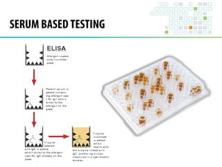 SERUM BASED TESTING 
 