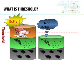 TThhrreesshhoolldd 
Itchy!! Not 
itchy… 
WHAT IS THRESHOLD? 
 