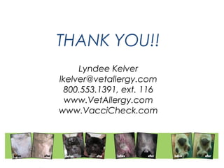 THANK YOU!! 
Lyndee Kelver 
lkelver@vetallergy.com 
800.553.1391, ext. 116 
www.VetAllergy.com 
www.VacciCheck.com 
