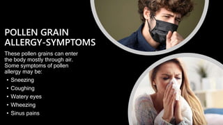 POLLEN GRAIN
ALLERGY-SYMPTOMS
These pollen grains can enter
the body mostly through air.
Some symptoms of pollen
allergy may be:
• Sneezing
• Coughing
• Watery eyes
• Wheezing
• Sinus pains
 