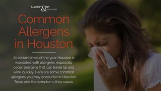Common Allergens in Houston