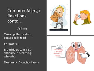 Common Allergic
Reactions
contd…
Asthma
Cause: pollen or dust,
occasionally food
Symptoms:
Bronchioles constrict-
difficulty in breathing,
wheezing
Treatment: Bronchodilators
 
