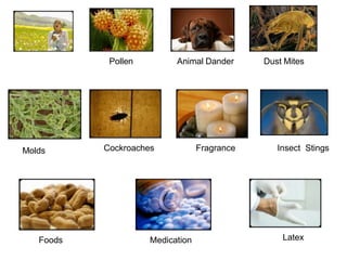 Dander Definition allergy tests.pptx