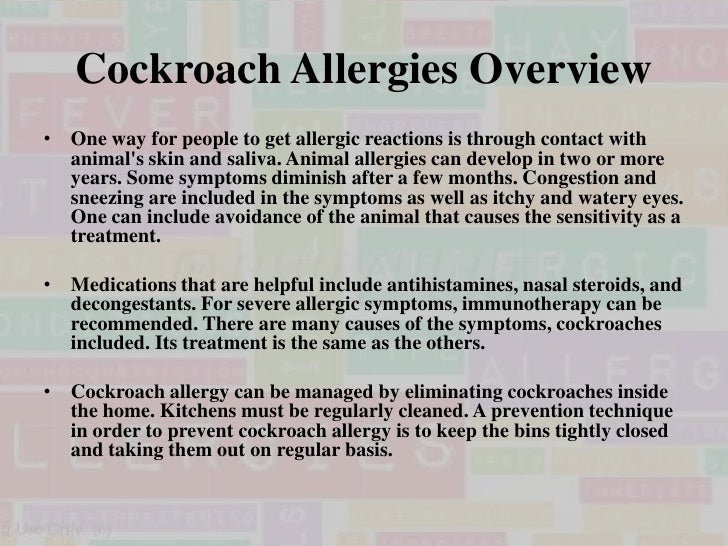 cockroach allergy cockroach allergy