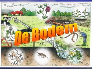 De Bodem 