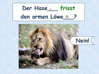 Der Hase___ frisst
den armen Löwe___?
-
n
Nein!
 