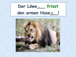 Der Löwe___ frisst
den armen Hase___!
-
n
 