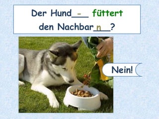 Der Hund___ füttert
den Nachbar___?
-
n
Nein!
 