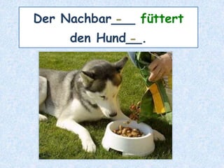 Der Nachbar___ füttert
den Hund__.
-
-
 