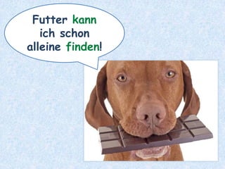 Futter kann
ich schon
alleine finden!
 