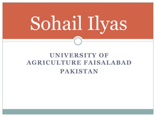 Sohail Ilyas
UNIVERSITY OF
AGRICULTURE FAISALABAD
PAKISTAN

 