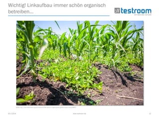 25.3.2014 www.testroom.de 12
Wichtig! Linkaufbau immer schön organisch
betreiben…
Quelle: http://www.betterplace.org/de/projects/6780-nyota-e-v-organic-green-garden-project/news/84853
 