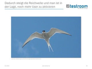25.3.2014 www.testroom.de 36
Dadurch steigt die Reichweite und man ist in
der Lage, noch mehr User zu aktivieren
Quelle: http://amphibol.blogspot.de/2010/01/der-langste-flug-kstenseeschwalben-als.html
 