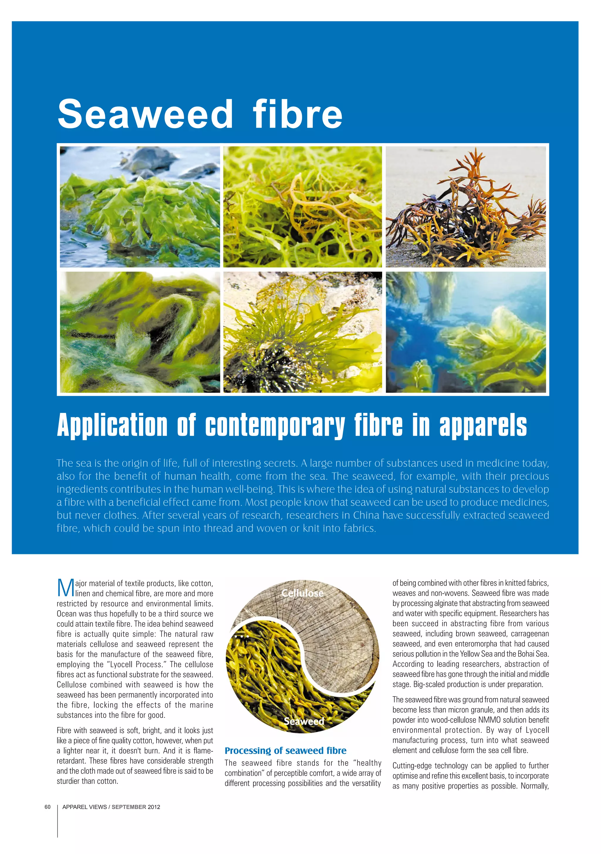 APPAREL VIEWS / SEPTEMBER 201260
The sea is the origin of life, full of interesting secrets. A large number of substances used in medicine today,
also for the benefit of human health, come from the sea. The seaweed, for example, with their precious
ingredients contributes in the human well-being. This is where the idea of using natural substances to develop
a fibre with a beneficial effect came from. Most people know that seaweed can be used to produce medicines,
but never clothes. After several years of research, researchers in China have successfully extracted seaweed
fibre, which could be spun into thread and woven or knit into fabrics.
Major material of textile products, like cotton,
linen and chemical fibre, are more and more
restricted by resource and environmental limits.
Ocean was thus hopefully to be a third source we
could attain textile fibre. The idea behind seaweed
fibre is actually quite simple: The natural raw
materials cellulose and seaweed represent the
basis for the manufacture of the seaweed fibre,
employing the “Lyocell Process.” The cellulose
fibres act as functional substrate for the seaweed.
Cellulose combined with seaweed is how the
seaweed has been permanently incorporated into
the fibre, locking the effects of the marine
substances into the fibre for good.
Fibre with seaweed is soft, bright, and it looks just
like a piece of fine quality cotton, however, when put
a lighter near it, it doesn't burn. And it is flame-
retardant. These fibres have considerable strength
and the cloth made out of seaweed fibre is said to be
sturdier than cotton.
Application of contemporary fibre in apparels
Seaweed fibre
Processing of seaweed fibre
The seaweed fibre stands for the “healthy
combination” of perceptible comfort, a wide array of
different processing possibilities and the versatility
of being combined with other fibres in knitted fabrics,
weaves and non-wovens. Seaweed fibre was made
by processing alginate that abstracting from seaweed
and water with specific equipment. Researchers has
been succeed in abstracting fibre from various
seaweed, including brown seaweed, carrageenan
seaweed, and even enteromorpha that had caused
serious pollution in the Yellow Sea and the Bohai Sea.
According to leading researchers, abstraction of
seaweed fibre has gone through the initial and middle
stage. Big-scaled production is under preparation.
The seaweed fibre was ground from natural seaweed
become less than micron granule, and then adds its
powder into wood-cellulose NMMO solution benefit
environmental protection. By way of Lyocell
manufacturing process, turn into what seaweed
element and cellulose form the sea cell fibre.
Cutting-edge technology can be applied to further
optimise and refine this excellent basis, to incorporate
as many positive properties as possible. Normally,
 