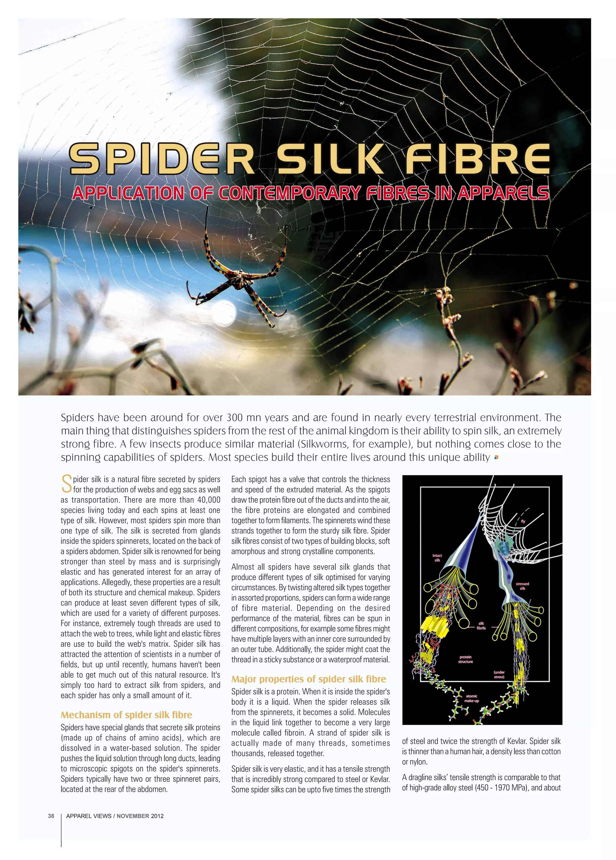 APPAREL VIEWS / NOVEMBER 201238
Spiders have been around for over 300 mn years and are found in nearly every terrestrial environment. The
main thing that distinguishes spiders from the rest of the animal kingdom is their ability to spin silk, an extremely
strong fibre. A few insects produce similar material (Silkworms, for example), but nothing comes close to the
spinning capabilities of spiders. Most species build their entire lives around this unique ability
Spider silk is a natural fibre secreted by spiders
for the production of webs and egg sacs as well
as transportation. There are more than 40,000
species living today and each spins at least one
type of silk. However, most spiders spin more than
one type of silk. The silk is secreted from glands
inside the spiders spinnerets, located on the back of
a spiders abdomen. Spider silk is renowned for being
stronger than steel by mass and is surprisingly
elastic and has generated interest for an array of
applications. Allegedly, these properties are a result
of both its structure and chemical makeup. Spiders
can produce at least seven different types of silk,
which are used for a variety of different purposes.
For instance, extremely tough threads are used to
attach the web to trees, while light and elastic fibres
are use to build the web's matrix. Spider silk has
attracted the attention of scientists in a number of
fields, but up until recently, humans haven't been
able to get much out of this natural resource. It's
simply too hard to extract silk from spiders, and
each spider has only a small amount of it.
Mechanism of spider silk fibre
Spiders have special glands that secrete silk proteins
(made up of chains of amino acids), which are
dissolved in a water-based solution. The spider
pushes the liquid solution through long ducts, leading
to microscopic spigots on the spider's spinnerets.
Spiders typically have two or three spinneret pairs,
located at the rear of the abdomen.
Each spigot has a valve that controls the thickness
and speed of the extruded material. As the spigots
draw the protein fibre out of the ducts and into the air,
the fibre proteins are elongated and combined
together to form filaments. The spinnerets wind these
strands together to form the sturdy silk fibre. Spider
silk fibres consist of two types of building blocks, soft
amorphous and strong crystalline components.
Almost all spiders have several silk glands that
produce different types of silk optimised for varying
circumstances. By twisting altered silk types together
inassortedproportions,spiderscanformawiderange
of fibre material. Depending on the desired
performance of the material, fibres can be spun in
different compositions, for example some fibres might
have multiple layers with an inner core surrounded by
an outer tube. Additionally, the spider might coat the
thread in a sticky substance or a waterproof material.
Major properties of spider silk fibre
Spider silk is a protein. When it is inside the spider's
body it is a liquid. When the spider releases silk
from the spinnerets, it becomes a solid. Molecules
in the liquid link together to become a very large
molecule called fibroin. A strand of spider silk is
actually made of many threads, sometimes
thousands, released together.
Spider silk is very elastic, and it has a tensile strength
that is incredibly strong compared to steel or Kevlar.
Some spider silks can be upto five times the strength
of steel and twice the strength of Kevlar. Spider silk
is thinner than a human hair, a density less than cotton
or nylon.
A dragline silks’ tensile strength is comparable to that
of high-grade alloy steel (450 - 1970 MPa), and about
APPAREL VIEWS / NOVEMBER 201238
 