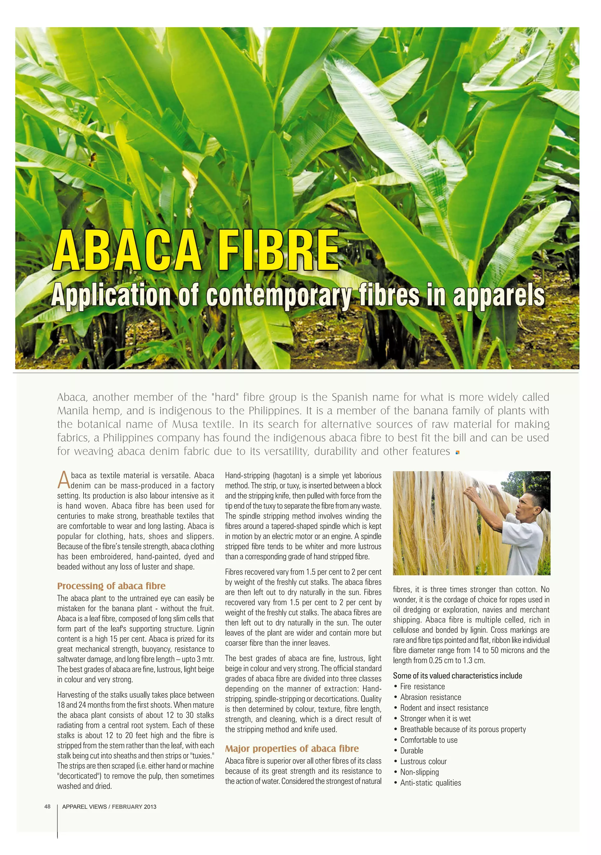 APPAREL VIEWS / FEBRUARY 201348
Abaca, another member of the "hard" fibre group is the Spanish name for what is more widely called
Manila hemp, and is indigenous to the Philippines. It is a member of the banana family of plants with
the botanical name of Musa textile. In its search for alternative sources of raw material for making
fabrics, a Philippines company has found the indigenous abaca fibre to best fit the bill and can be used
for weaving abaca denim fabric due to its versatility, durability and other features
Abaca as textile material is versatile. Abaca
denim can be mass-produced in a factory
setting. Its production is also labour intensive as it
is hand woven. Abaca fibre has been used for
centuries to make strong, breathable textiles that
are comfortable to wear and long lasting. Abaca is
popular for clothing, hats, shoes and slippers.
Because of the fibre’s tensile strength, abaca clothing
has been embroidered, hand-painted, dyed and
beaded without any loss of luster and shape.
Processing of abaca fibre
The abaca plant to the untrained eye can easily be
mistaken for the banana plant - without the fruit.
Abaca is a leaf fibre, composed of long slim cells that
form part of the leaf's supporting structure. Lignin
content is a high 15 per cent. Abaca is prized for its
great mechanical strength, buoyancy, resistance to
saltwater damage, and long fibre length – upto 3 mtr.
The best grades of abaca are fine, lustrous, light beige
in colour and very strong.
Harvesting of the stalks usually takes place between
18 and 24 months from the first shoots. When mature
the abaca plant consists of about 12 to 30 stalks
radiating from a central root system. Each of these
stalks is about 12 to 20 feet high and the fibre is
stripped from the stem rather than the leaf, with each
stalk being cut into sheaths and then strips or "tuxies."
Thestripsarethenscraped(i.e.eitherhandormachine
"decorticated") to remove the pulp, then sometimes
washed and dried.
Hand-stripping (hagotan) is a simple yet laborious
method. The strip, or tuxy, is inserted between a block
and the stripping knife, then pulled with force from the
tipendofthetuxytoseparatethefibrefromanywaste.
The spindle stripping method involves winding the
fibres around a tapered-shaped spindle which is kept
in motion by an electric motor or an engine. A spindle
stripped fibre tends to be whiter and more lustrous
than a corresponding grade of hand stripped fibre.
Fibres recovered vary from 1.5 per cent to 2 per cent
by weight of the freshly cut stalks. The abaca fibres
are then left out to dry naturally in the sun. Fibres
recovered vary from 1.5 per cent to 2 per cent by
weight of the freshly cut stalks. The abaca fibres are
then left out to dry naturally in the sun. The outer
leaves of the plant are wider and contain more but
coarser fibre than the inner leaves.
The best grades of abaca are fine, lustrous, light
beige in colour and very strong. The official standard
grades of abaca fibre are divided into three classes
depending on the manner of extraction: Hand-
stripping, spindle-stripping or decortications. Quality
is then determined by colour, texture, fibre length,
strength, and cleaning, which is a direct result of
the stripping method and knife used.
Major properties of abaca fibre
Abaca fibre is superior over all other fibres of its class
because of its great strength and its resistance to
theactionofwater.Consideredthestrongestofnatural
fibres, it is three times stronger than cotton. No
wonder, it is the cordage of choice for ropes used in
oil dredging or exploration, navies and merchant
shipping. Abaca fibre is multiple celled, rich in
cellulose and bonded by lignin. Cross markings are
rareandfibretipspointedandflat,ribbonlikeindividual
fibre diameter range from 14 to 50 microns and the
length from 0.25 cm to 1.3 cm.
Some of its valued characteristics include
• Fire resistance
• Abrasion resistance
• Rodent and insect resistance
• Stronger when it is wet
• Breathable because of its porous property
• Comfortable to use
• Durable
• Lustrous colour
• Non-slipping
• Anti-static qualities
APPAREL VIEWS / FEBRUARY 201348
 