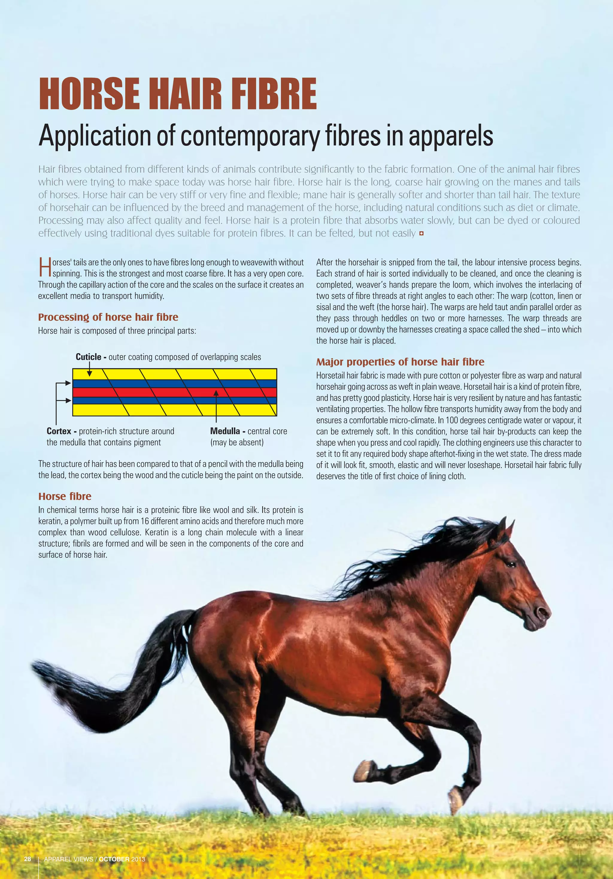 APPAREL VIEWS / OCTOBER 201328
Applicationofcontemporaryfibresinapparels
Horses' tails are the only ones to have fibres long enough to weavewith without
spinning. This is the strongest and most coarse fibre. It has a very open core.
Through the capillary action of the core and the scales on the surface it creates an
excellent media to transport humidity.
Processing of horse hair fibre
Horse hair is composed of three principal parts:
HORSE HAIR FIBRE
After the horsehair is snipped from the tail, the labour intensive process begins.
Each strand of hair is sorted individually to be cleaned, and once the cleaning is
completed, weaver’s hands prepare the loom, which involves the interlacing of
two sets of fibre threads at right angles to each other: The warp (cotton, linen or
sisal and the weft (the horse hair). The warps are held taut andin parallel order as
they pass through heddles on two or more harnesses. The warp threads are
moved up or downby the harnesses creating a space called the shed – into which
the horse hair is placed.
Major properties of horse hair fibre
Horsetail hair fabric is made with pure cotton or polyester fibre as warp and natural
horsehair going across as weft in plain weave. Horsetail hair is a kind of protein fibre,
and has pretty good plasticity. Horse hair is very resilient by nature and has fantastic
ventilating properties. The hollow fibre transports humidity away from the body and
ensures a comfortable micro-climate. In 100 degrees centigrade water or vapour, it
can be extremely soft. In this condition, horse tail hair by-products can keep the
shape when you press and cool rapidly. The clothing engineers use this character to
set it to fit any required body shape afterhot-fixing in the wet state. The dress made
of it will look fit, smooth, elastic and will never loseshape. Horsetail hair fabric fully
deserves the title of first choice of lining cloth.
Hair fibres obtained from different kinds of animals contribute significantly to the fabric formation. One of the animal hair fibres
which were trying to make space today was horse hair fibre. Horse hair is the long, coarse hair growing on the manes and tails
of horses. Horse hair can be very stiff or very fine and flexible; mane hair is generally softer and shorter than tail hair. The texture
of horsehair can be influenced by the breed and management of the horse, including natural conditions such as diet or climate.
Processing may also affect quality and feel. Horse hair is a protein fibre that absorbs water slowly, but can be dyed or coloured
effectively using traditional dyes suitable for protein fibres. It can be felted, but not easily
Cuticle - outer coating composed of overlapping scales
Cortex - protein-rich structure around
the medulla that contains pigment
Medulla - central core
(may be absent)
The structure of hair has been compared to that of a pencil with the medulla being
the lead, the cortex being the wood and the cuticle being the paint on the outside.
Horse fibre
In chemical terms horse hair is a proteinic fibre like wool and silk. Its protein is
keratin, a polymer built up from 16 different amino acids and therefore much more
complex than wood cellulose. Keratin is a long chain molecule with a linear
structure; fibrils are formed and will be seen in the components of the core and
surface of horse hair.
APPAREL VIEWS / OCTOBER 201328
 