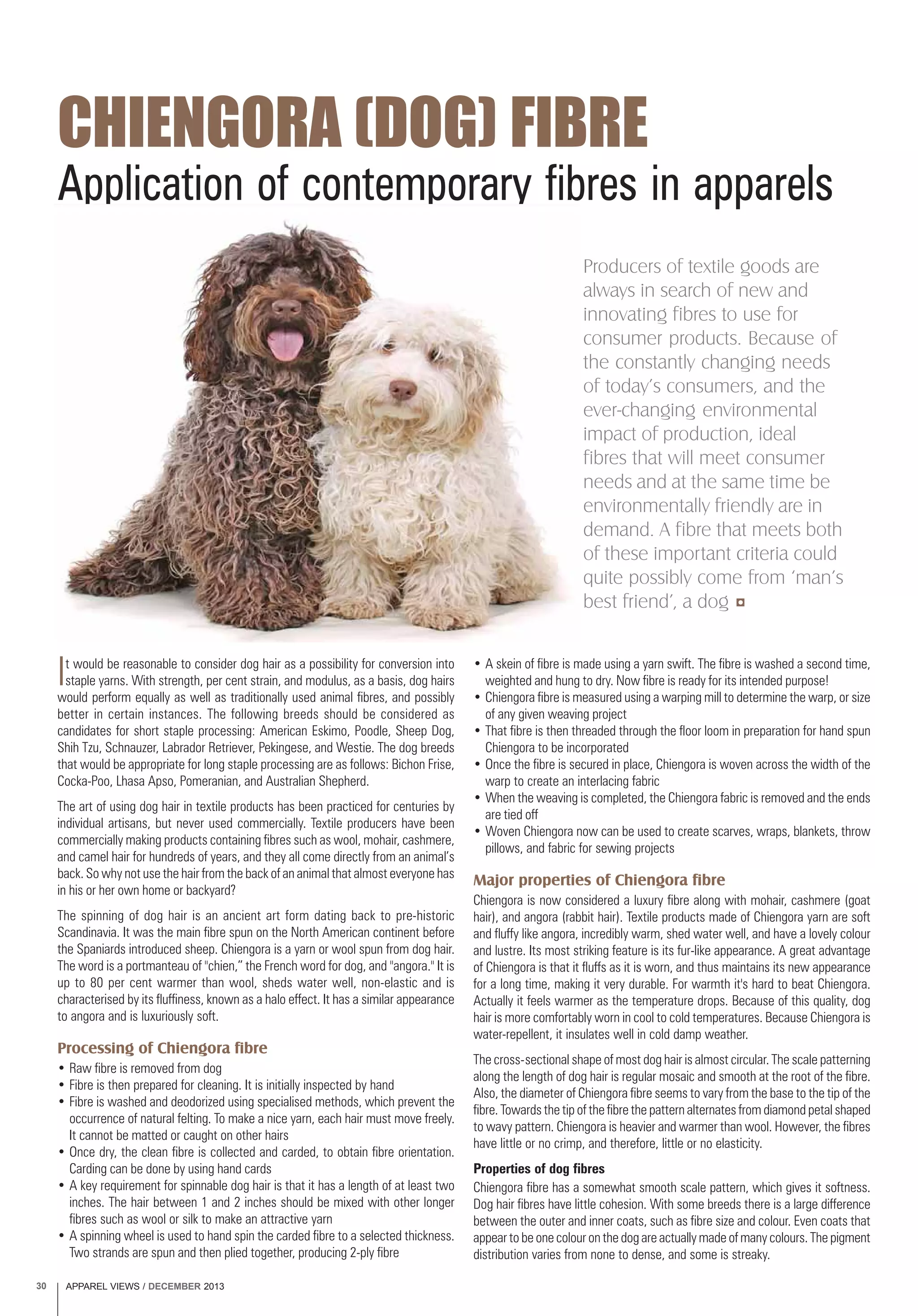 APPAREL VIEWS / DECEMBER 201330
Application of contemporary fibres in apparels
CHIENGORA (DOG) FIBRE
It would be reasonable to consider dog hair as a possibility for conversion into
staple yarns. With strength, per cent strain, and modulus, as a basis, dog hairs
would perform equally as well as traditionally used animal fibres, and possibly
better in certain instances. The following breeds should be considered as
candidates for short staple processing: American Eskimo, Poodle, Sheep Dog,
Shih Tzu, Schnauzer, Labrador Retriever, Pekingese, and Westie. The dog breeds
that would be appropriate for long staple processing are as follows: Bichon Frise,
Cocka-Poo, Lhasa Apso, Pomeranian, and Australian Shepherd.
The art of using dog hair in textile products has been practiced for centuries by
individual artisans, but never used commercially. Textile producers have been
commercially making products containing fibres such as wool, mohair, cashmere,
and camel hair for hundreds of years, and they all come directly from an animal’s
back. So why not use the hair from the back of an animal that almost everyone has
in his or her own home or backyard?
The spinning of dog hair is an ancient art form dating back to pre-historic
Scandinavia. It was the main fibre spun on the North American continent before
the Spaniards introduced sheep. Chiengora is a yarn or wool spun from dog hair.
The word is a portmanteau of "chien,” the French word for dog, and "angora." It is
up to 80 per cent warmer than wool, sheds water well, non-elastic and is
characterised by its fluffiness, known as a halo effect. It has a similar appearance
to angora and is luxuriously soft.
Processing of Chiengora fibre
• Raw fibre is removed from dog
• Fibre is then prepared for cleaning. It is initially inspected by hand
• Fibre is washed and deodorized using specialised methods, which prevent the
occurrence of natural felting. To make a nice yarn, each hair must move freely.
It cannot be matted or caught on other hairs
• Once dry, the clean fibre is collected and carded, to obtain fibre orientation.
Carding can be done by using hand cards
• A key requirement for spinnable dog hair is that it has a length of at least two
inches. The hair between 1 and 2 inches should be mixed with other longer
fibres such as wool or silk to make an attractive yarn
• A spinning wheel is used to hand spin the carded fibre to a selected thickness.
Two strands are spun and then plied together, producing 2-ply fibre
• A skein of fibre is made using a yarn swift. The fibre is washed a second time,
weighted and hung to dry. Now fibre is ready for its intended purpose!
• Chiengora fibre is measured using a warping mill to determine the warp, or size
of any given weaving project
• That fibre is then threaded through the floor loom in preparation for hand spun
Chiengora to be incorporated
• Once the fibre is secured in place, Chiengora is woven across the width of the
warp to create an interlacing fabric
• When the weaving is completed, the Chiengora fabric is removed and the ends
are tied off
• Woven Chiengora now can be used to create scarves, wraps, blankets, throw
pillows, and fabric for sewing projects
Major properties of Chiengora fibre
Chiengora is now considered a luxury fibre along with mohair, cashmere (goat
hair), and angora (rabbit hair). Textile products made of Chiengora yarn are soft
and fluffy like angora, incredibly warm, shed water well, and have a lovely colour
and lustre. Its most striking feature is its fur-like appearance. A great advantage
of Chiengora is that it fluffs as it is worn, and thus maintains its new appearance
for a long time, making it very durable. For warmth it's hard to beat Chiengora.
Actually it feels warmer as the temperature drops. Because of this quality, dog
hair is more comfortably worn in cool to cold temperatures. Because Chiengora is
water-repellent, it insulates well in cold damp weather.
The cross-sectional shape of most dog hair is almost circular. The scale patterning
along the length of dog hair is regular mosaic and smooth at the root of the fibre.
Also, the diameter of Chiengora fibre seems to vary from the base to the tip of the
fibre. Towards the tip of the fibre the pattern alternates from diamond petal shaped
to wavy pattern. Chiengora is heavier and warmer than wool. However, the fibres
have little or no crimp, and therefore, little or no elasticity.
Properties of dog fibres
Chiengora fibre has a somewhat smooth scale pattern, which gives it softness.
Dog hair fibres have little cohesion. With some breeds there is a large difference
between the outer and inner coats, such as fibre size and colour. Even coats that
appear to be one colour on the dog are actually made of many colours. The pigment
distribution varies from none to dense, and some is streaky.
Producers of textile goods are
always in search of new and
innovating fibres to use for
consumer products. Because of
the constantly changing needs
of today’s consumers, and the
ever-changing environmental
impact of production, ideal
fibres that will meet consumer
needs and at the same time be
environmentally friendly are in
demand. A fibre that meets both
of these important criteria could
quite possibly come from ‘man’s
best friend’, a dog
 