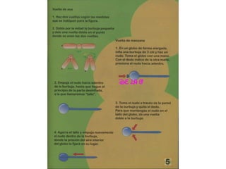 All for house  globoflexia-1