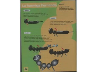 All for house  globoflexia-1