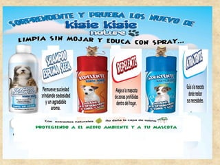 Allforpet  wholesale1