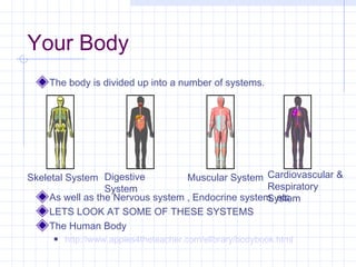 Your Body
The body is divided up into a number of systems.

Skeletal System Digestive
Muscular System Cardiovascular &
Respiratory
System
As well as the Nervous system , Endocrine system, etc.
System
LETS LOOK AT SOME OF THESE SYSTEMS
The Human Body


http://www.apples4theteacher.com/elibrary/bodybook.html

 