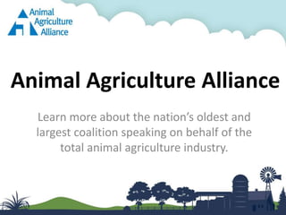 Animal Agriculture Alliance
  Learn more about the nation’s oldest and
  largest coalition speaking on behalf of the
       total animal agriculture industry.
 