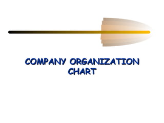 COMPANY ORGANIZATION
        CHART
 