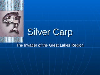 Silver Carp The Invader of the Great Lakes Region 