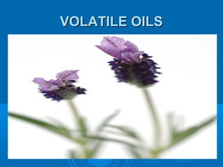 VOLATILE OILS
 