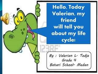 Hello, Today
Valerian, my
friend
will tell you
about my life
cycle!
By : Valerian L. Tedja
Grade 4
Batari School- Medan

 