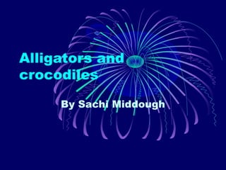 Alligators and
crocodiles

     By Sachi Middough
 