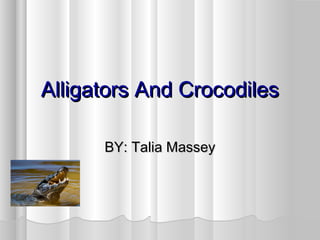 Alligators And Crocodiles

      BY: Talia Massey
 