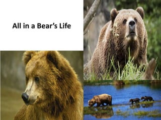 All in a Bear’s Life




                by chuck crouse
 