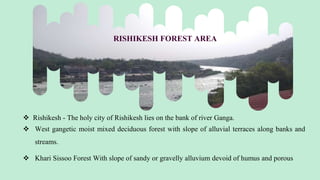 Trees In Rishikesh ALL INDIA STUDY TOUR PPT (FOWE- FORESTRY) -MALOTH SURESH.pptx