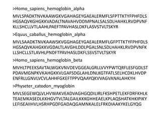 >Homo_sapiens_hemoglobin_alpha
MVLSPADKTNVKAAWGKVGAHAGEYGAEALERMFLSFPTTKTYFPHFDLS
HGSAQVKGHGKKVADALTNAVAHVDDMPNALSALSDLHAHKLRVDPVNF
KLLSHCLLVTLAAHLPAEFTPAVHASLDKFLASVSTVLTSKYR
>Equus_caballus_hemoglobin_alpha
MVLSAADKTNVKAAWSKVGGHAGEYGAEALERMFLGFPTTKTYFPHFDLS
HGSAQVKAHGKKVGDALTLAVGHLDDLPGALSNLSDLHAHKLRVDPVNFK
LLSHCLLSTLAVHLPNDFTPAVHASLDKFLSSVSTVLTSKYR
>Homo_sapiens_hemoglobin_beta
MVHLTPEEKSAVTALWGKVNVDEVGGEALGRLLVVYPWTQRFLESFGDLST
PDAVMGNPKVKAHGKKVLGAFSDGLAHLDNLKGTFATLSELHCDKLHVDP
ENFRLLGNVLVCVLAHHFGKEFTPPVQAAYQKVVAGVANALAHKYH
>Physeter_catodon_myoglobin
MVLSEGEWQLVLHVWAKVEADVAGHGQDILIRLFKSHPETLEKFDRFKHLK
TEAEMKASEDLKKHGVTVLTALGAILKKKGHHEAELKPLAQSHATKHKIPIKY
LEFISEAIIHVLHSRHPGDFGADAQGAMNKALELFRKDIAAKYKELGYQG
 