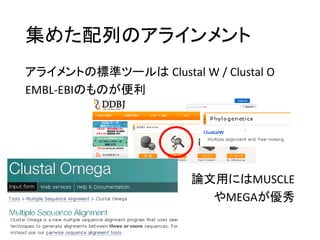 集めた配列のアラインメント
アライメントの標準ツールは Clustal W / Clustal O
EMBL-EBIのものが便利
論文用にはMUSCLE
やMEGAが優秀
 
