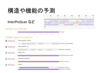構造や機能の予測
InterProScan など
 