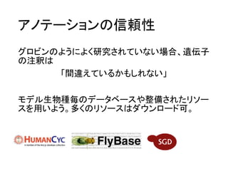 アノテーションの信頼性
グロビンのようによく研究されていない場合、遺伝子
の注釈は
「間違えているかもしれない」
モデル生物種毎のデータベースや整備されたリソー
スを用いよう。多くのリソースはダウンロード可。
 
