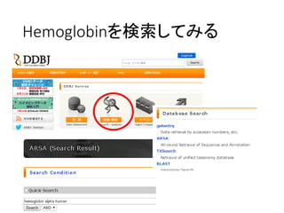 Hemoglobinを検索してみる
 