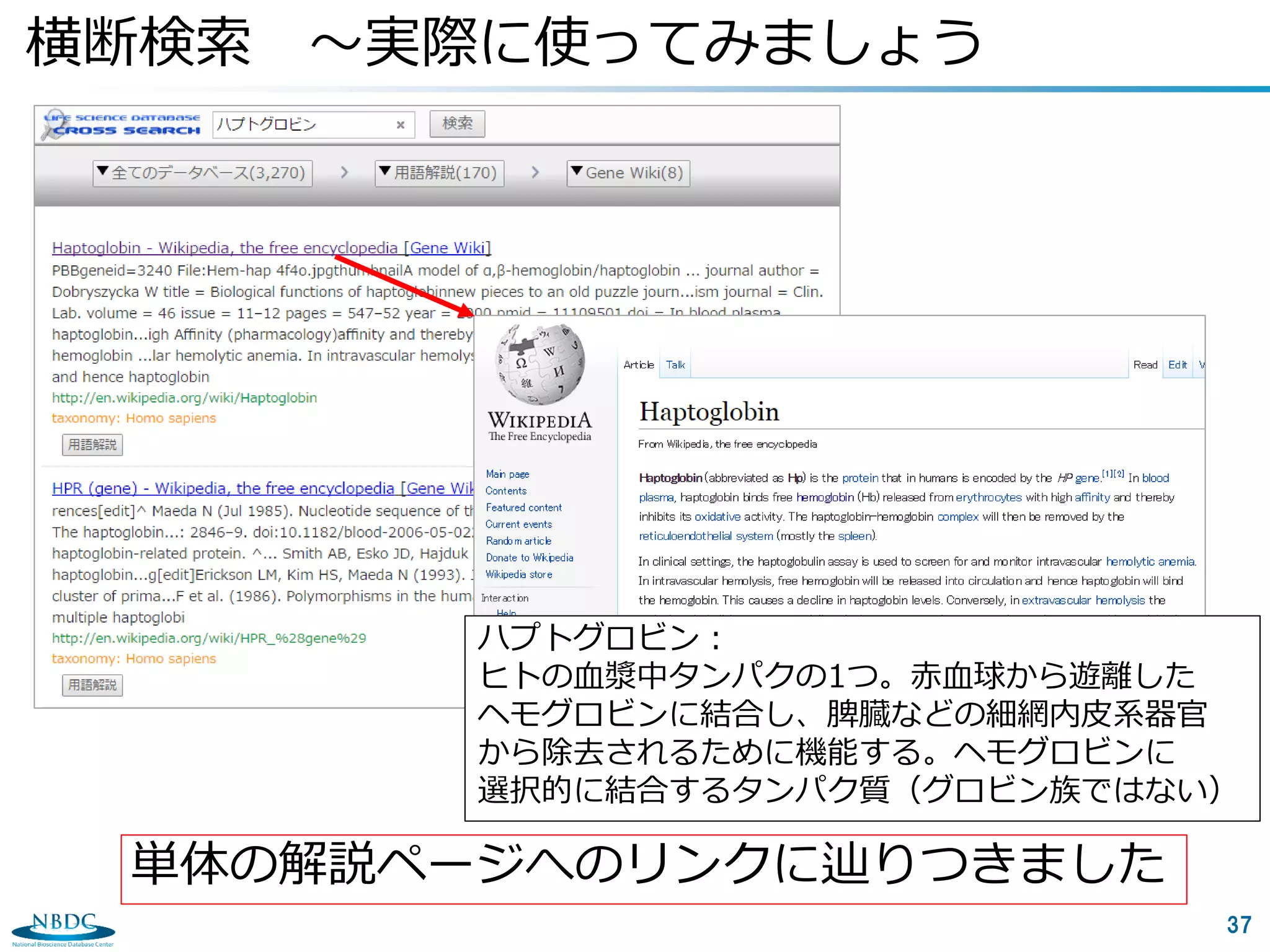 37
横断検索 ～実際に使ってみましょう
単体の解説ページへのリンクに辿りつきました
ハプトグロビン：
ヒトの血漿中タンパクの1つ。赤血球から遊離した
ヘモグロビンに結合し、脾臓などの細網内皮系器官
から除去されるために機能する。ヘモグロビンに
選択的に結合するタンパク質（グロビン族ではない）
 