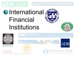 International Financial Institutions Constance L. Danner 
