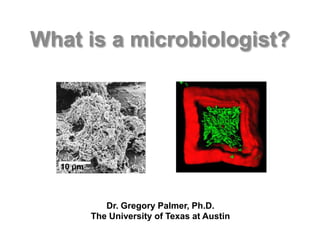 What is a microbiologist?

10 μm

Dr. Gregory Palmer, Ph.D.
The University of Texas at Austin

 