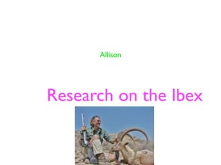 Allison




Research on the Ibex
 